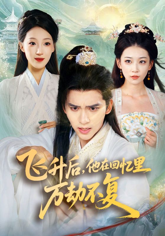 飞升后他在回忆里万劫不复封面图