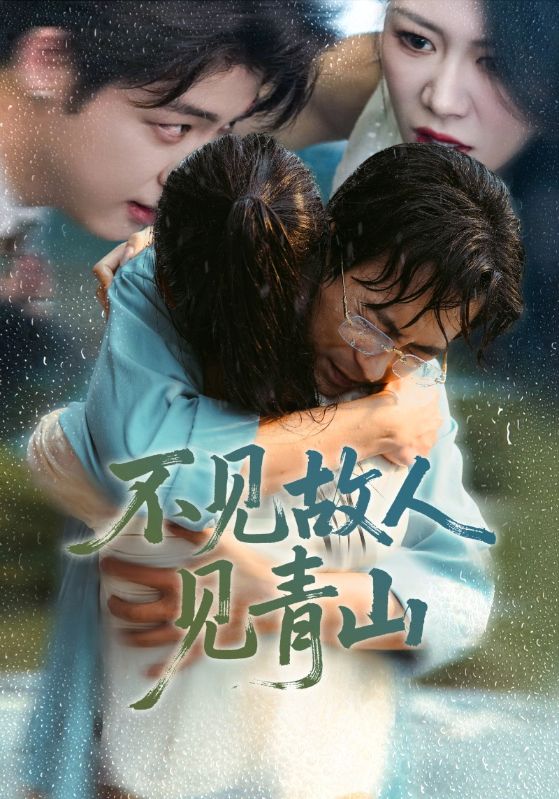 不见故人见青山封面图