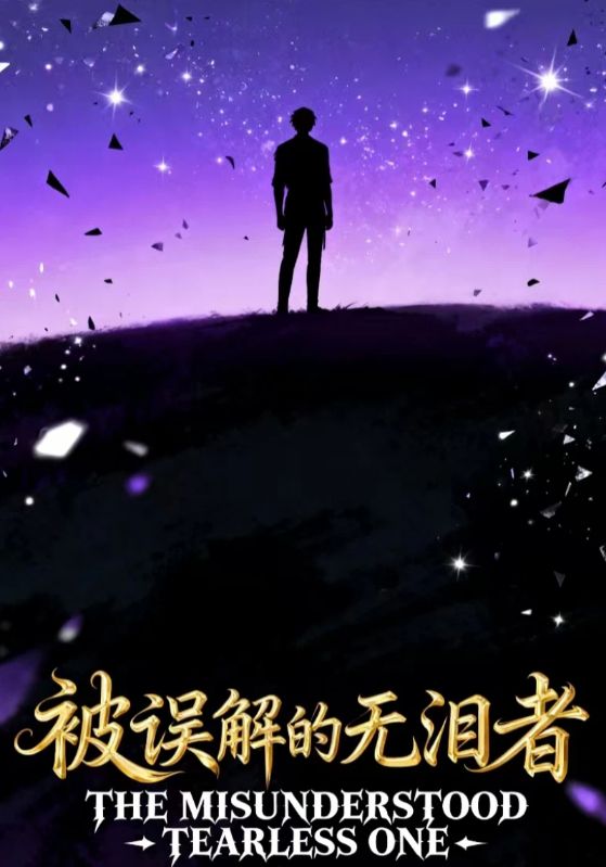 被误解的无泪者封面图