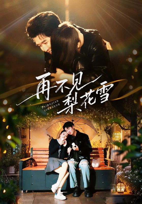 再不见梨花雪封面图