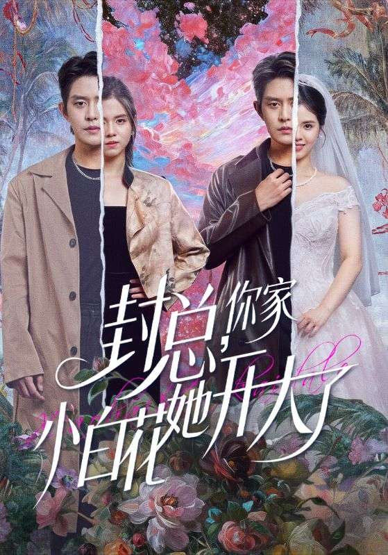 封总你家小白花她开大了封面图