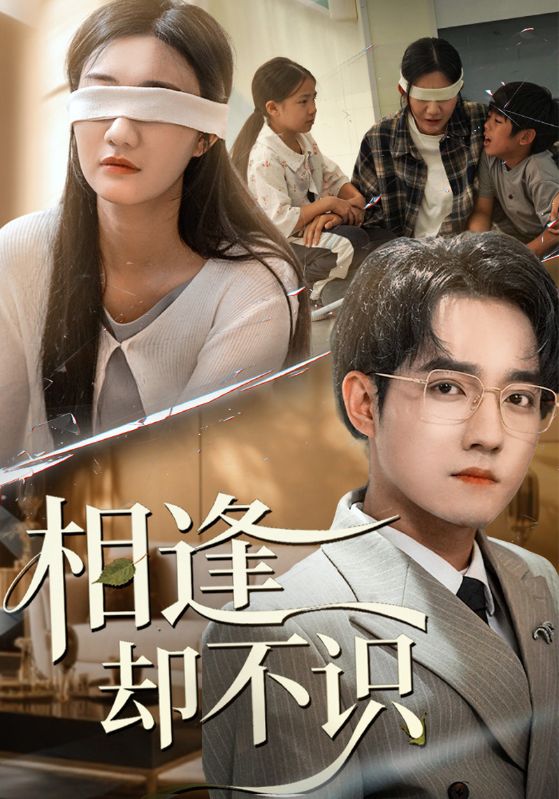 相逢却不识封面图