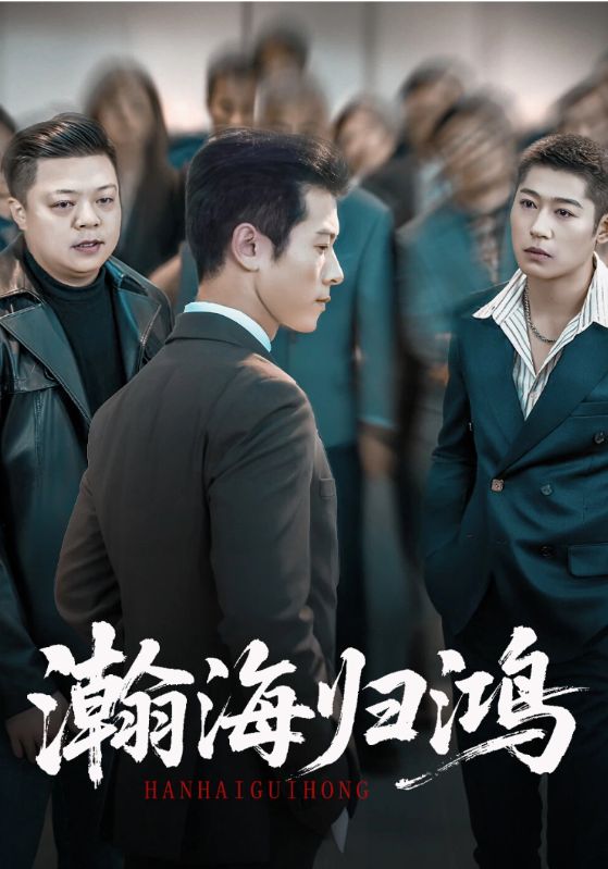 瀚海归鸿封面图