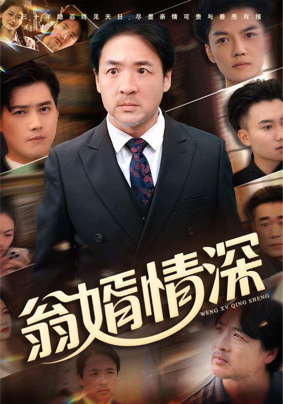 翁婿情深封面图