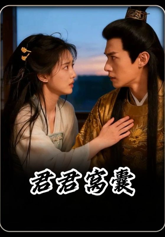 君君窝囊封面图