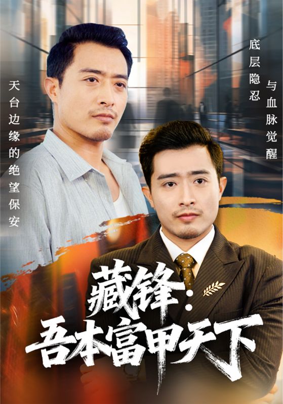 藏锋:吾本富甲天下封面图