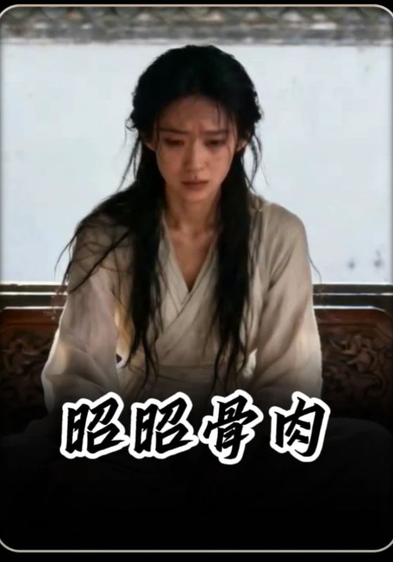 昭昭骨肉封面图