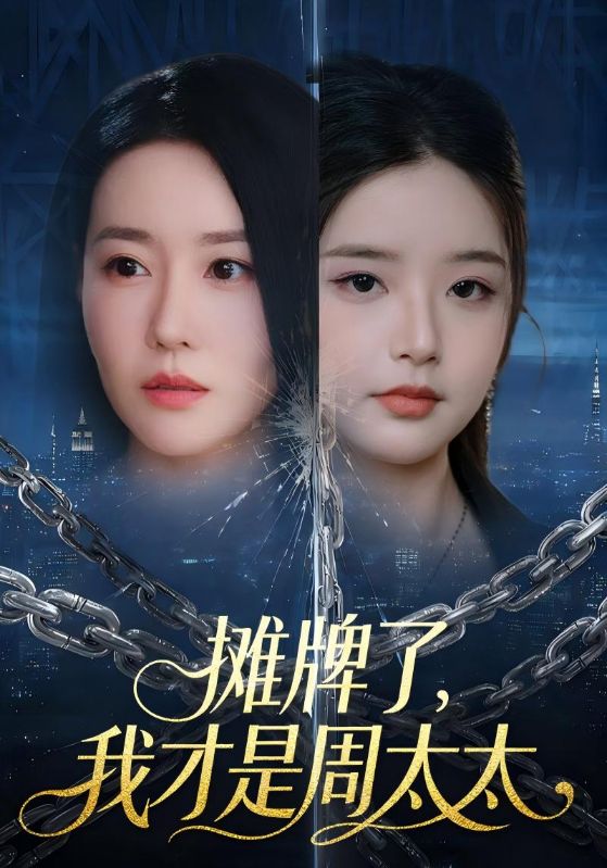 摊牌了我才是周太太封面图