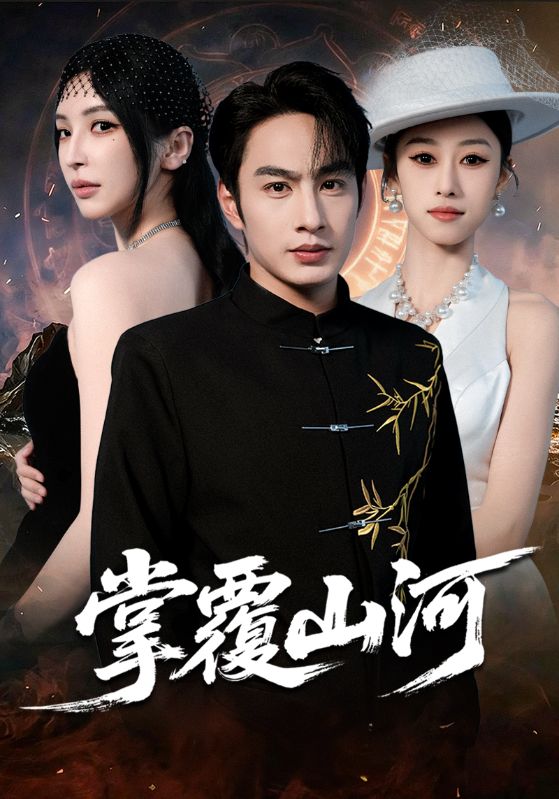 掌覆山河封面图