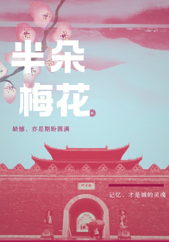 半朵梅花封面图