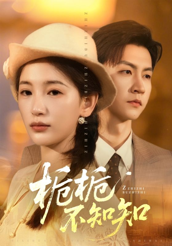 栀栀不知知封面图