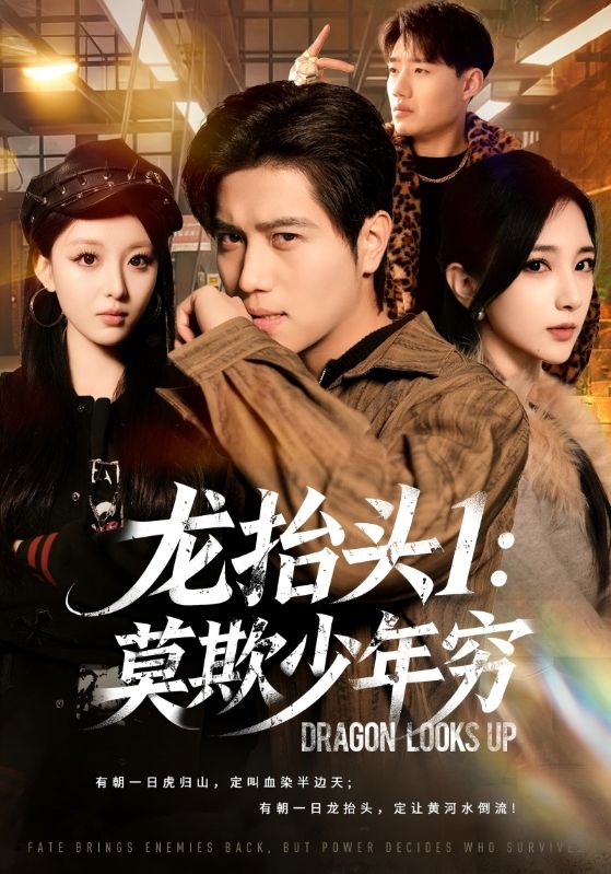 龙抬头1:莫欺少年穷封面图