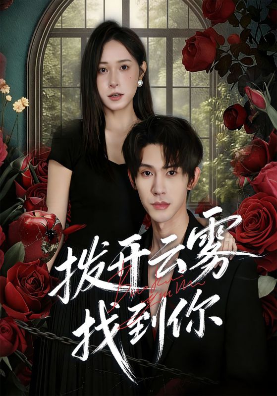 拨开云雾找到你封面图