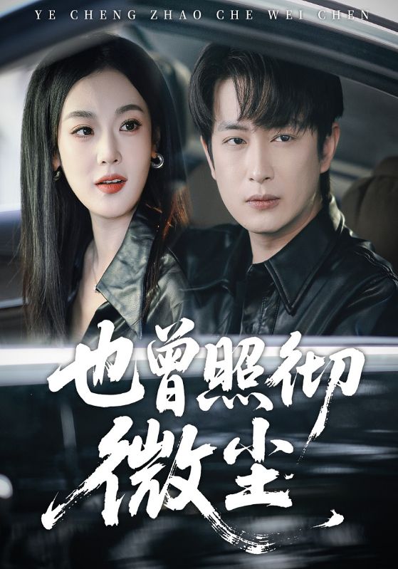 也曾照彻微尘封面图