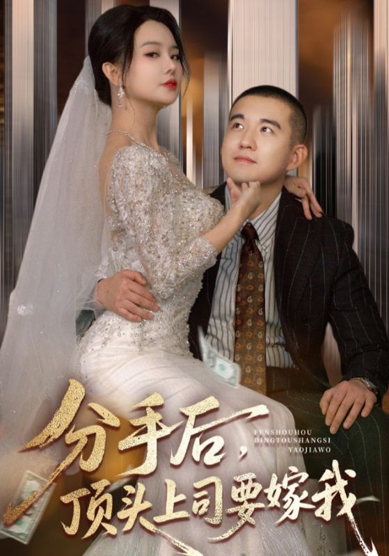 分手后顶头上司要嫁我封面图