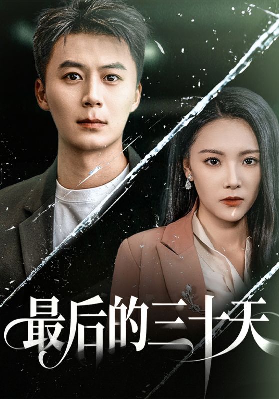 最后的三十天封面图