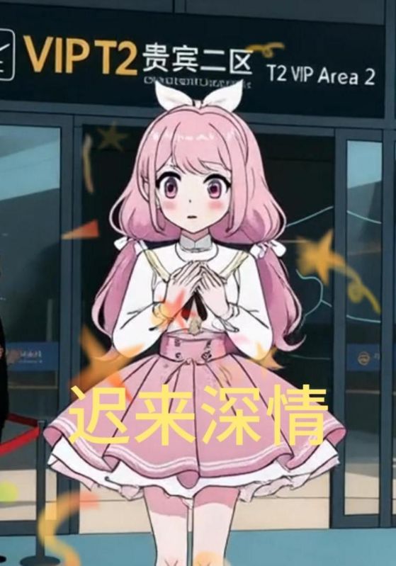 迟来深情封面图