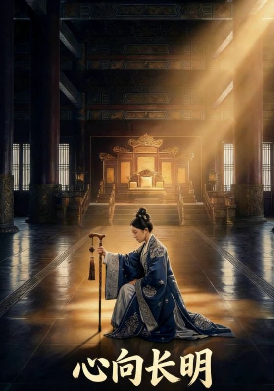 心向长明封面图