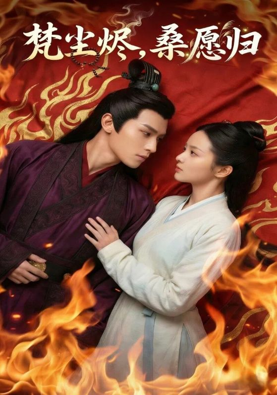 梵尘烬桑愿归封面图