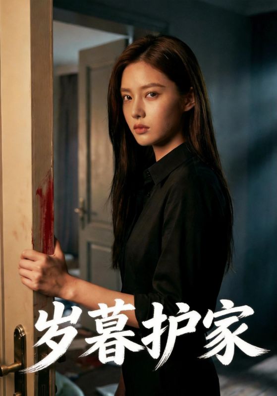 岁暮护家封面图