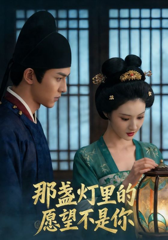 那盏灯里的愿望不是你封面图