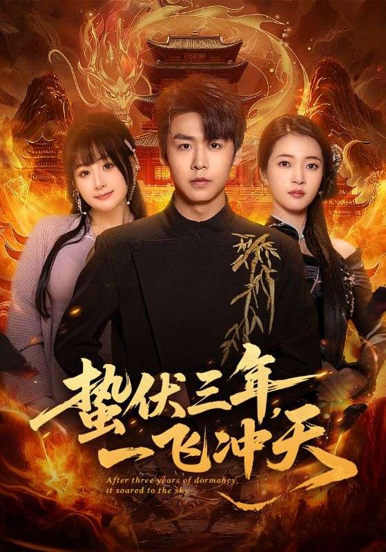 蛰伏三年一飞冲天封面图