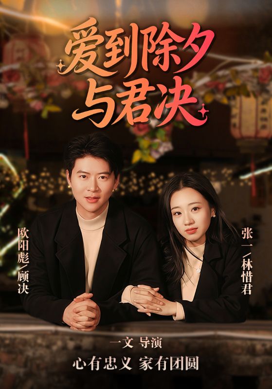 爱到除夕与君决封面图