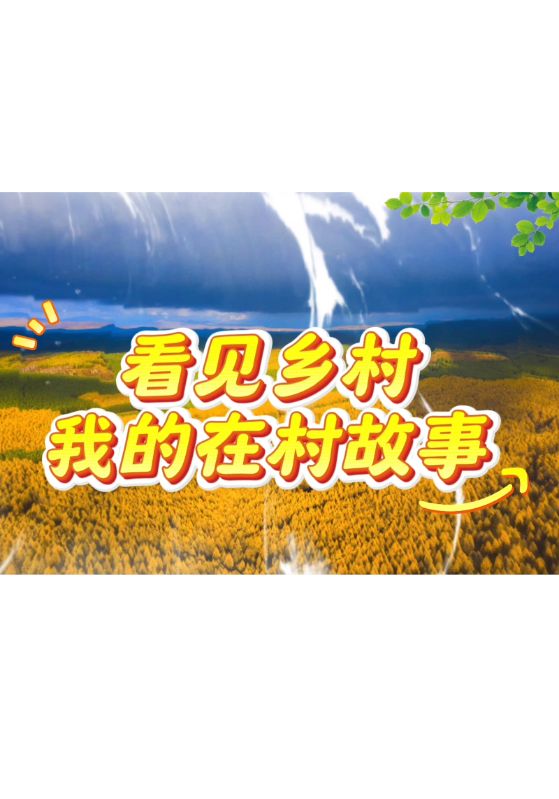 看见乡村我的在村故事封面图