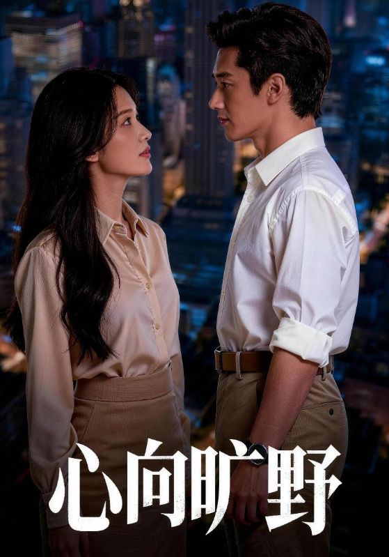 心向旷野封面图