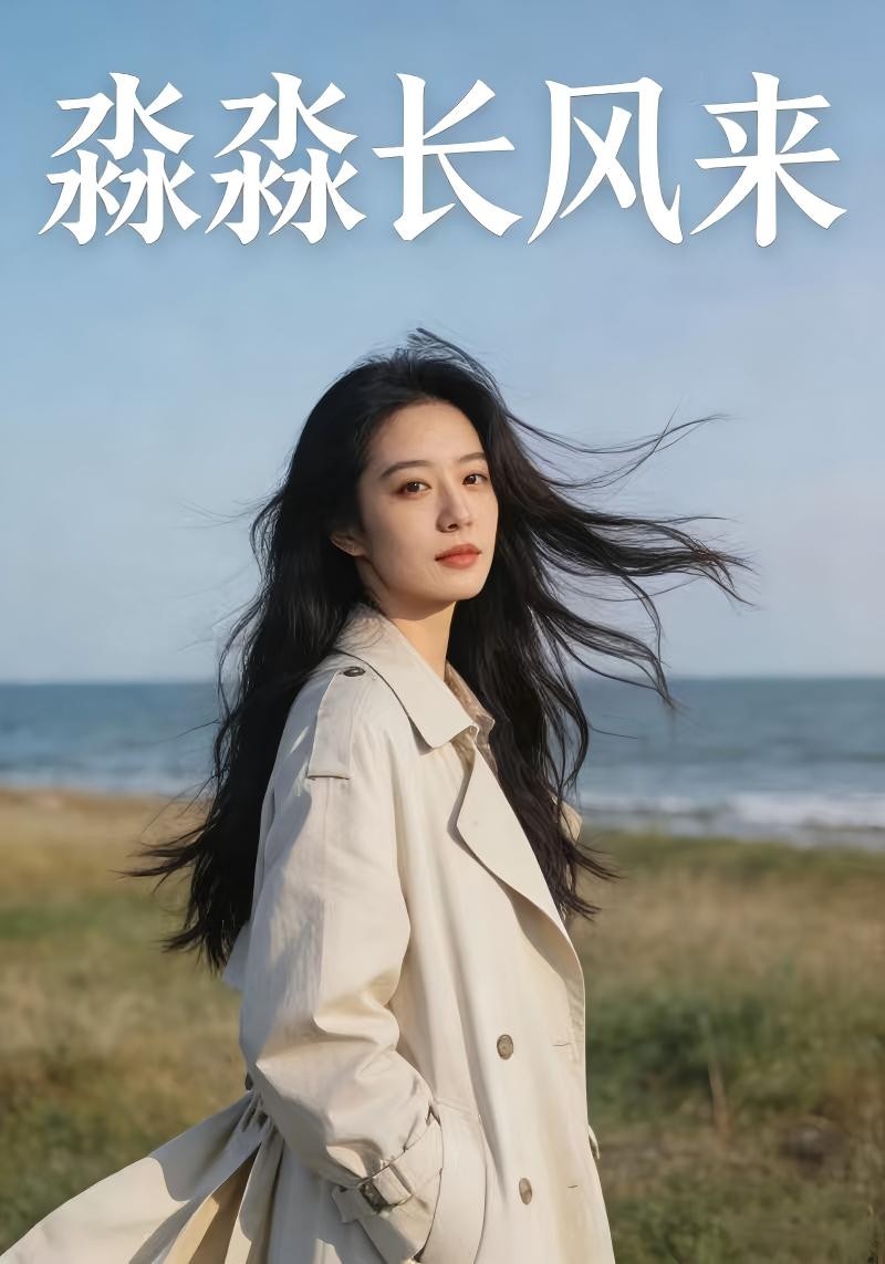 淼淼长风来封面图
