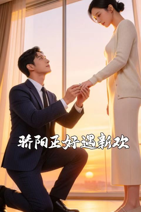 骄阳正好遇新欢封面图