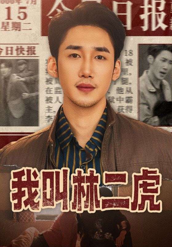 我叫林二虎封面图