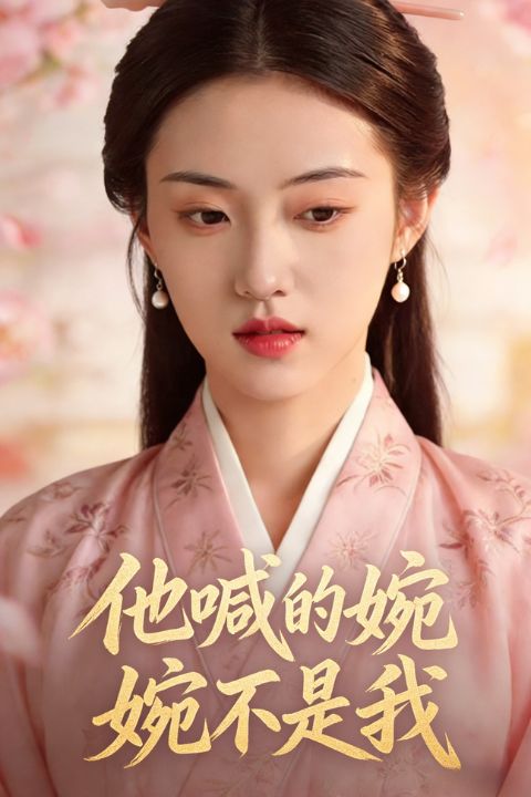 他喊的婉婉不是我封面图