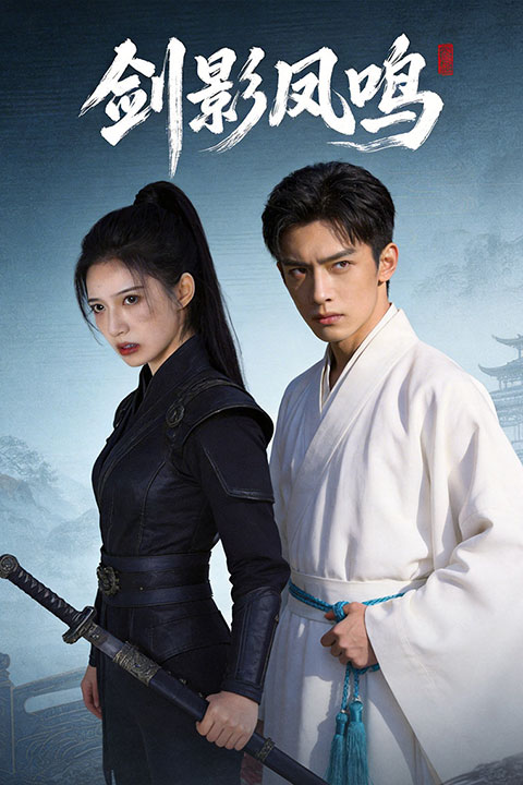 剑影凤鸣封面图