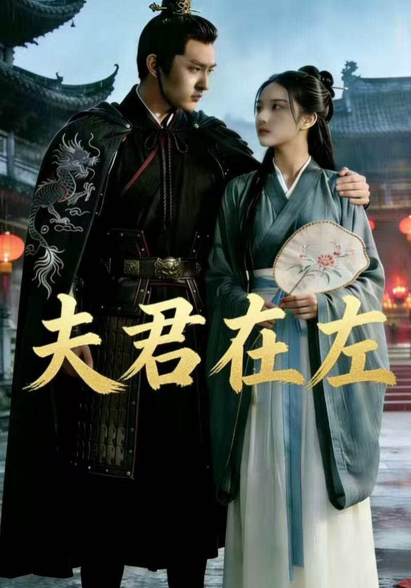 夫君在左封面图