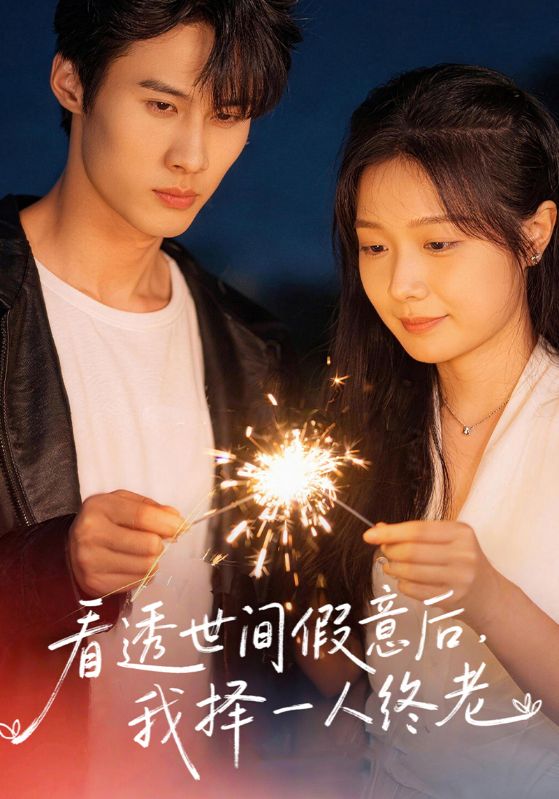 看透世间假意后我择一人终老封面图