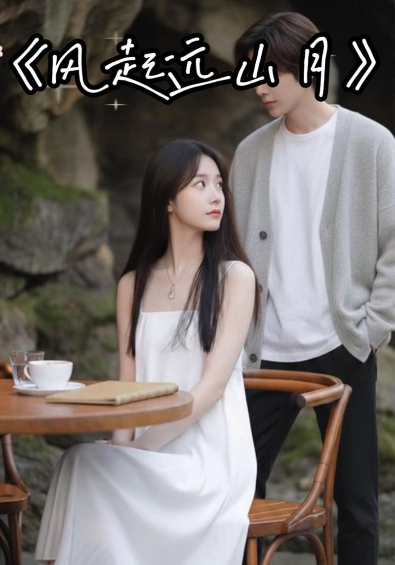 风起远山月封面图