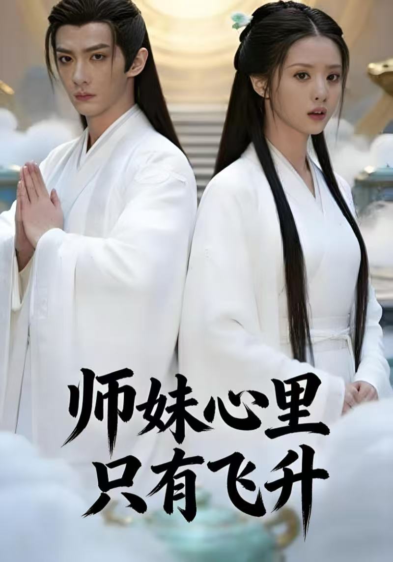 师妹心里只有飞升封面图