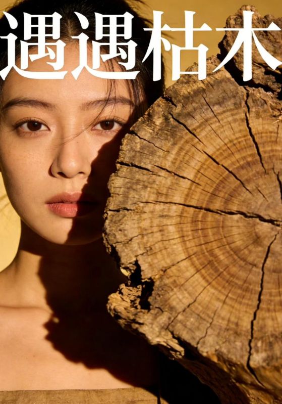 遇遇枯木封面图