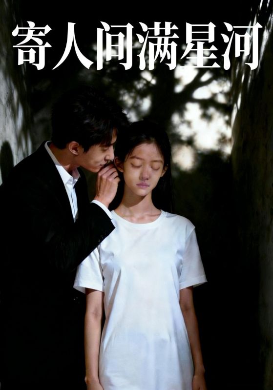 寄人间满星河封面图